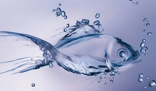 Introduction to Colway's Natural Collagen
